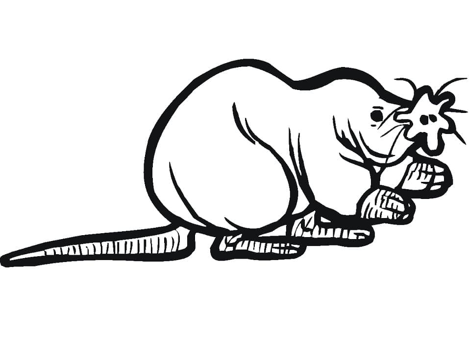 Desenho de Toupeira Feia para Colorir e Pintar