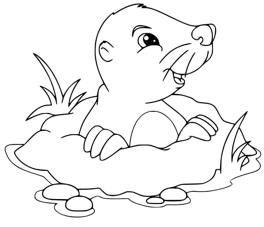 Desenho de Toupeira Feliz para Colorir e Pintar