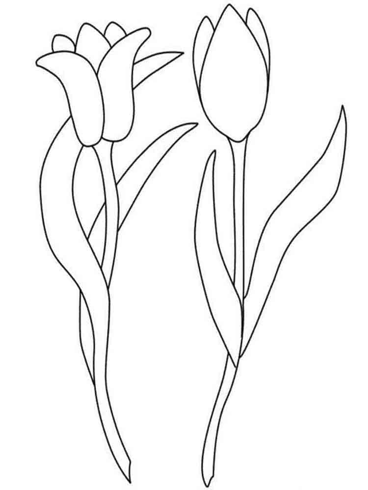 Desenho de Imprimivel Grátis Tulipa para Colorir e Pintar