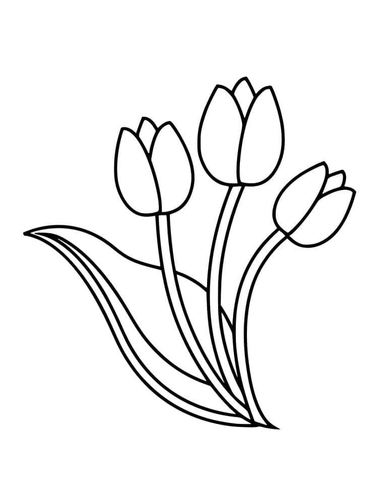 Desenho de Imprimivel Tulipa para Colorir e Pintar