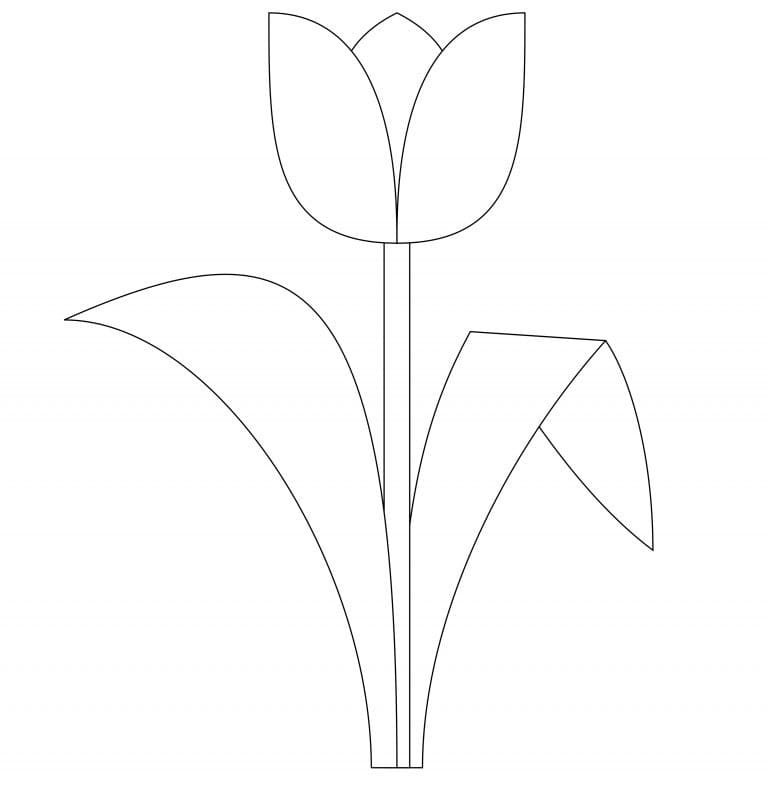 Desenho de Tulipa Bonita para Colorir e Pintar