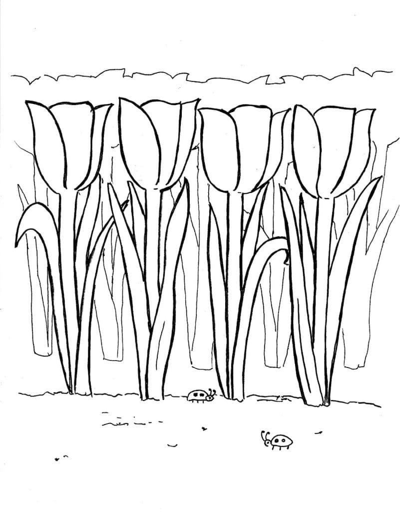 Desenho de Tulipa Grátis para Colorir e Pintar