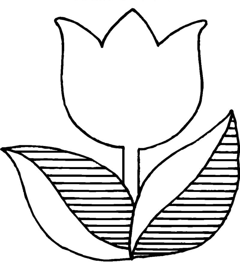 Desenho de Tulipa Muito Bonita para Colorir e Pintar