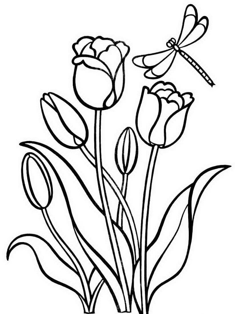 Desenho de Tulipa para Crianças de 2 Anos para Colorir e Pintar