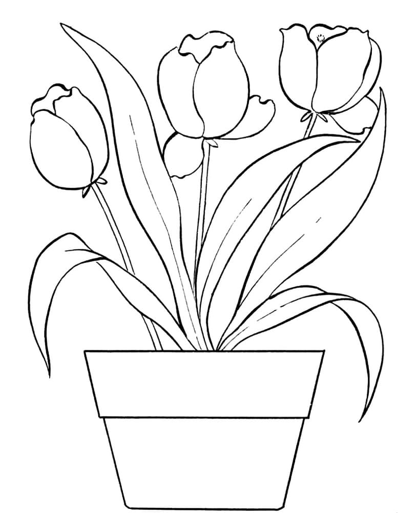Desenho de Tulipa para Crianças de 3 Anos para Colorir e Pintar