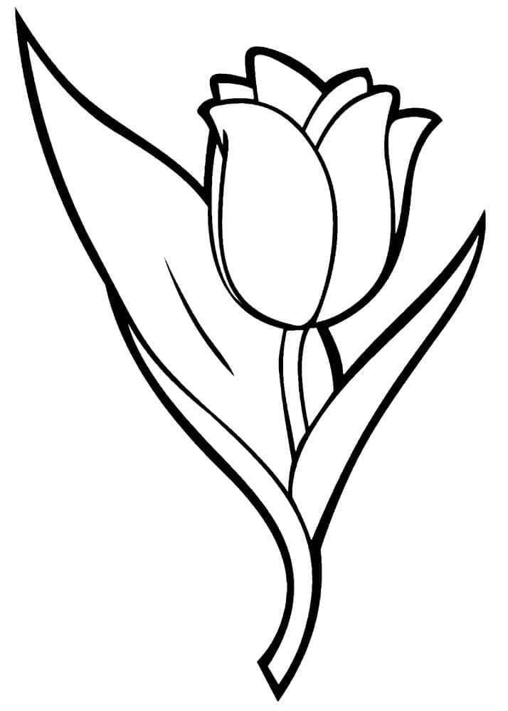 Desenho de Tulipa para Crianças de 5 Anos para Colorir e Pintar