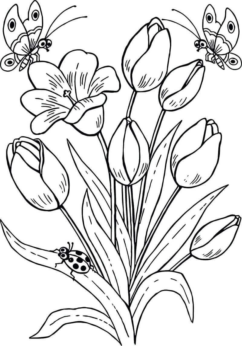 Desenho de Flor Tulipa Download Pdf para Colorir e Pintar