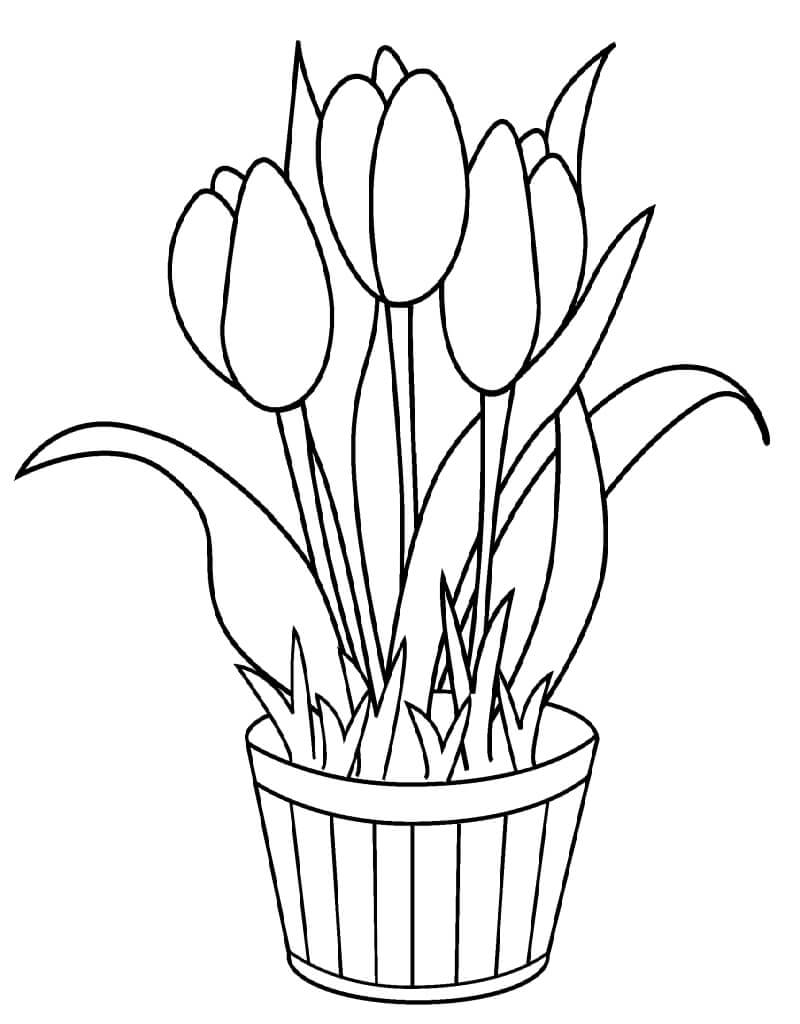 Desenho de Tulipa Imprimivel Pdf para Colorir e Pintar