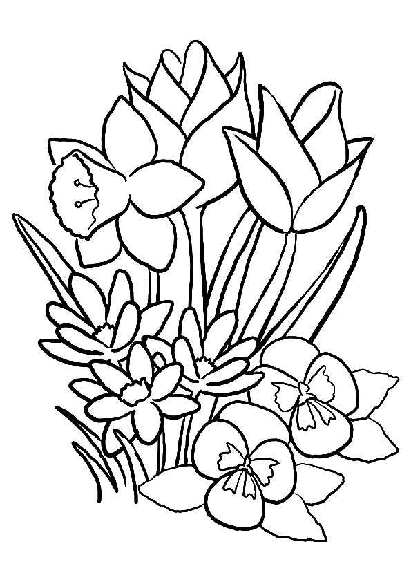 Desenho de Tulipa Pdf para Colorir e Pintar
