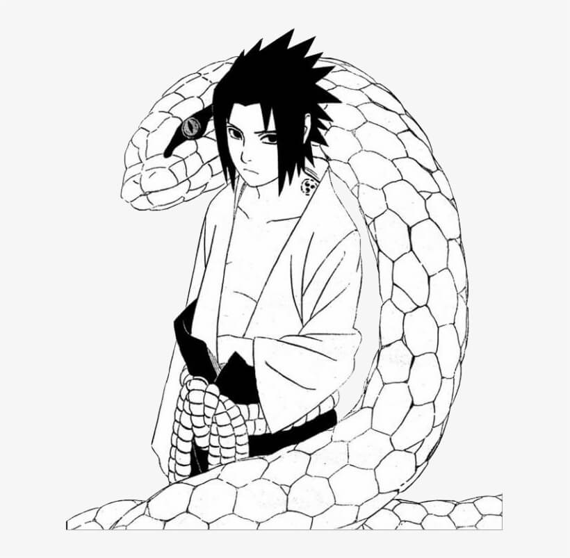 Desenho de Sasuke Download Pdf para Colorir e Pintar