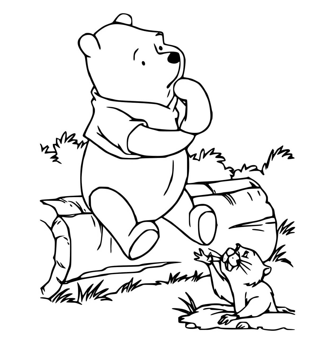 Desenho de Pooh e Gopher para Colorir e Pintar