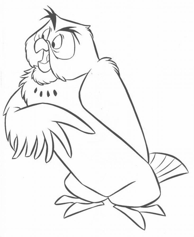 Desenho Owl para Colorir e Pintar