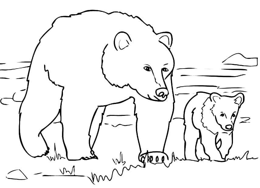 Desenho de Mãe Ursa e Filhote de Urso para Colorir e Pintar