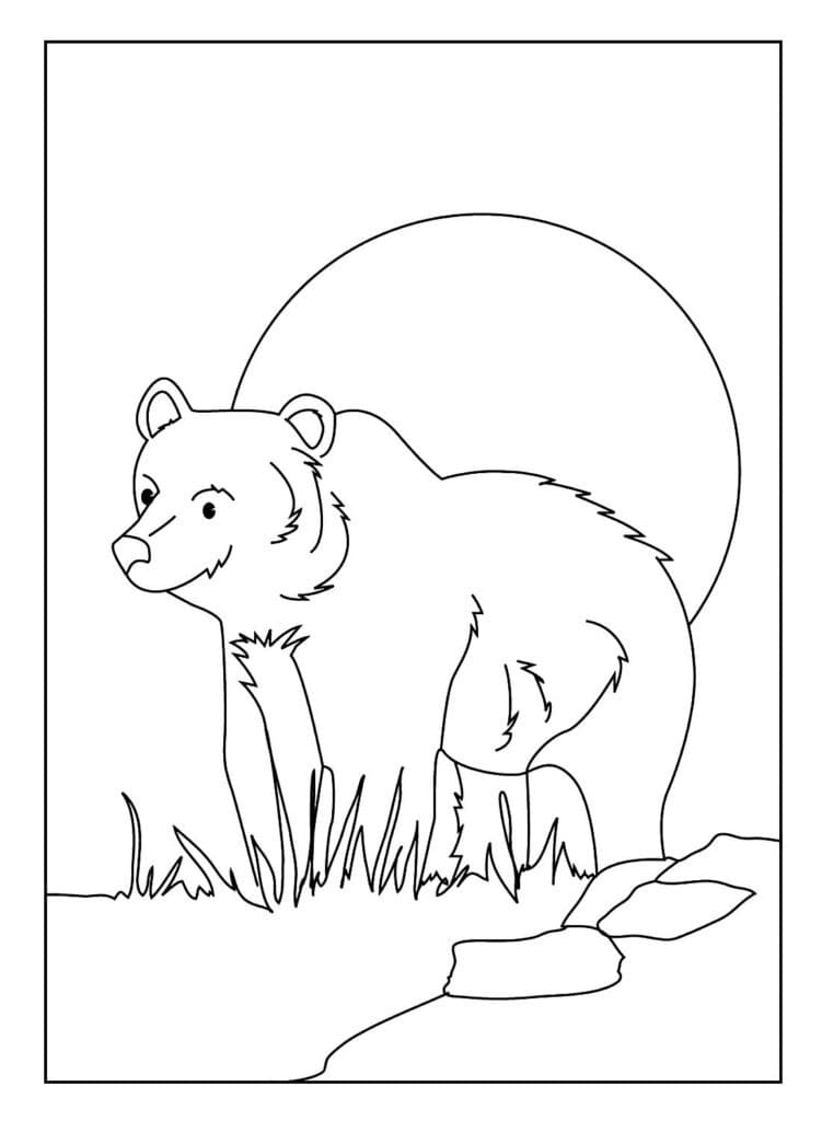 Desenho de o Urso para Colorir e Pintar