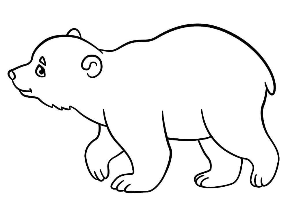 Desenho de Pequeno Urso para Colorir e Pintar