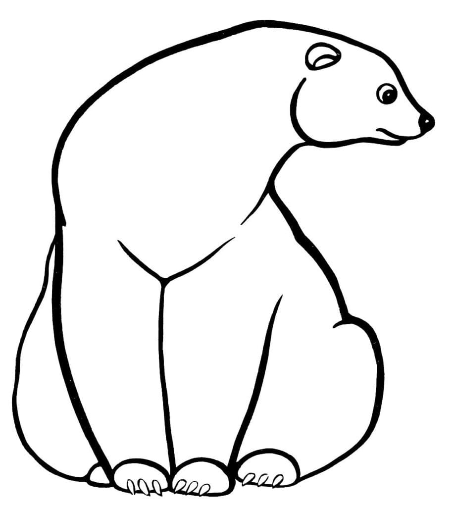 Desenho de um Urso Muito Simples para Colorir e Pintar