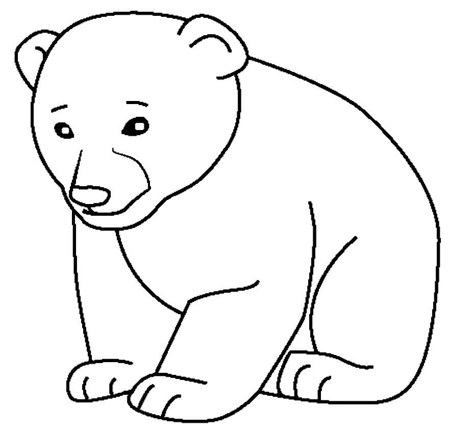 Desenho de um Urso Simples para Colorir e Pintar