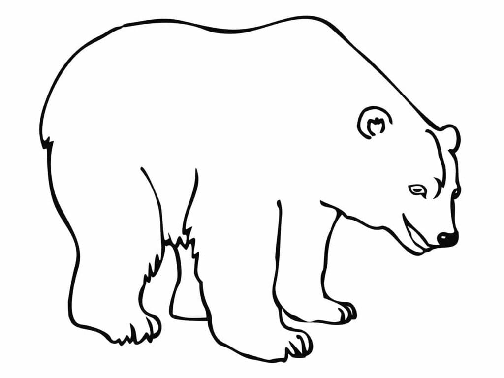 Desenho de Urso Fácil para Colorir e Pintar