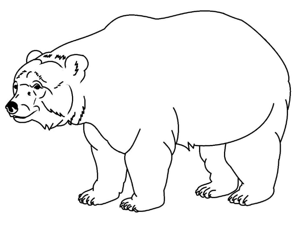 Desenho de Urso Muito Simples para Colorir e Pintar