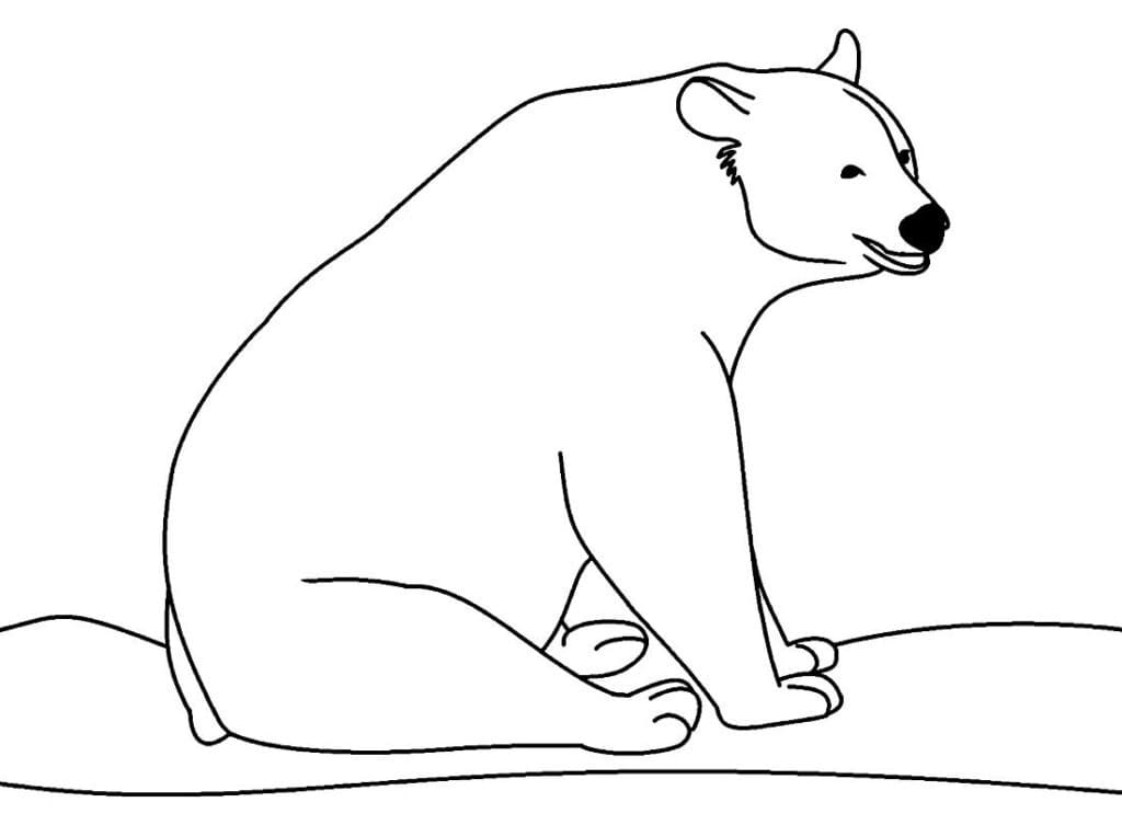 Desenho de Urso Normal para Colorir e Pintar