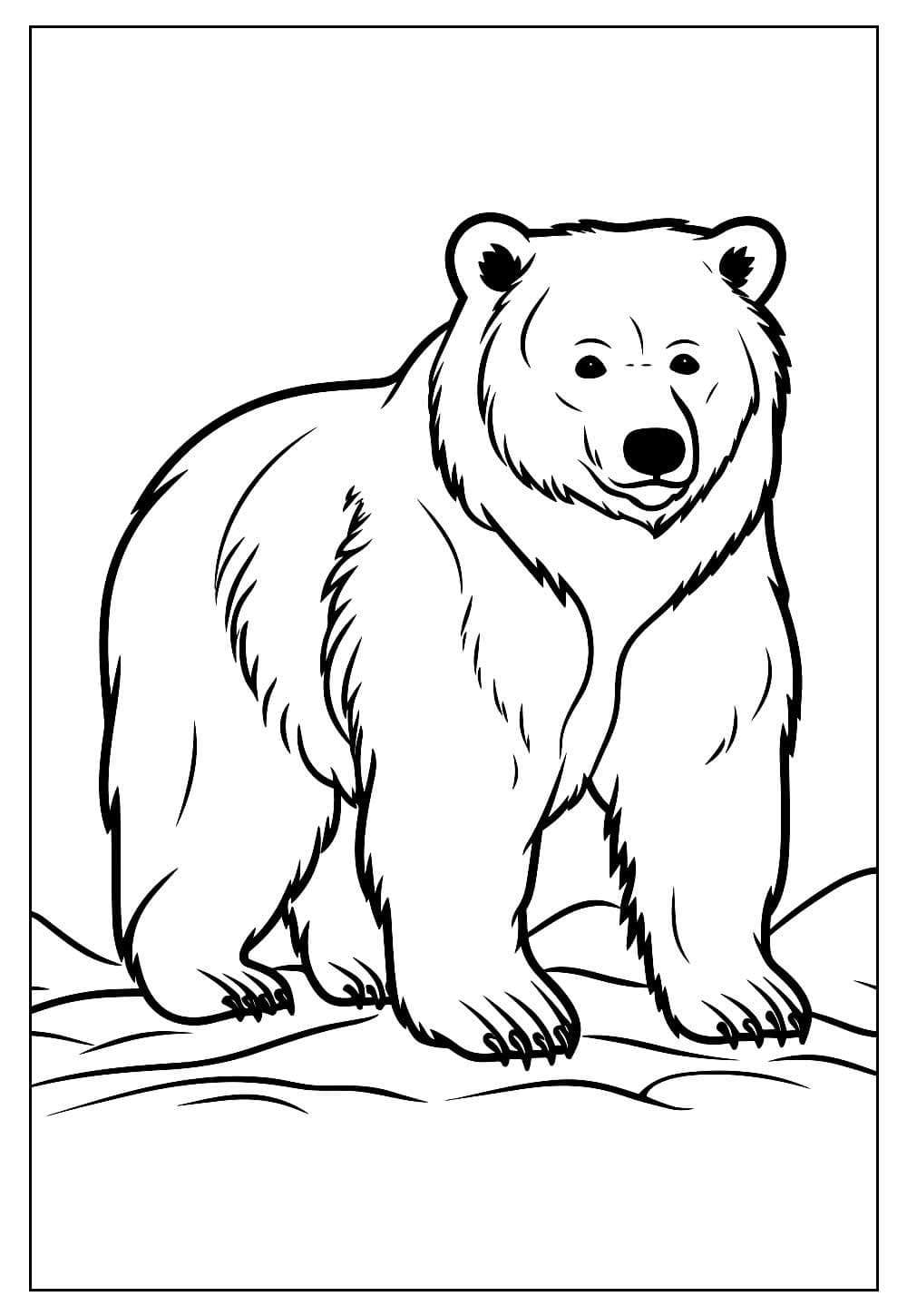Desenho de Urso Selvagem para Colorir e Pintar