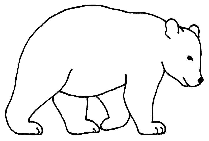 Desenho de Urso Simples para Colorir e Pintar