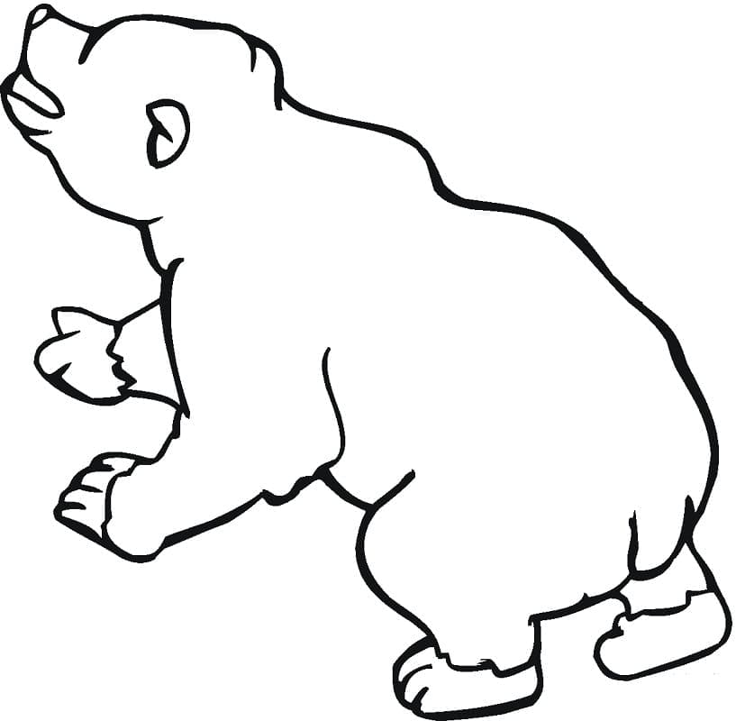 Desenho de Urso para Colorir com Giz de Cera Download e Pintar