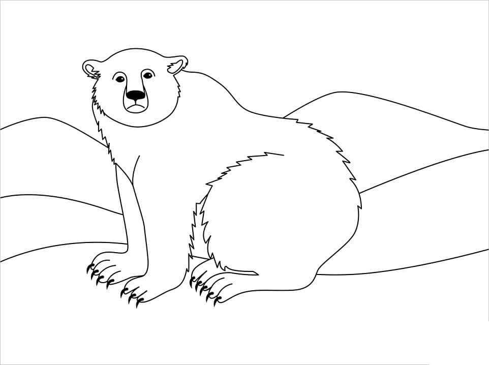 Desenho de Urso para Colorir com Giz de Cera Imprimivel e Pintar