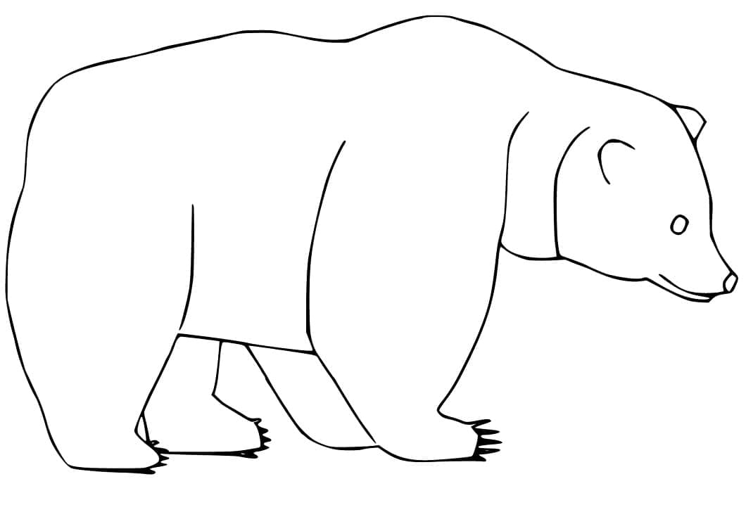 Desenho de Urso para Colorir com Lápis de Cor Pdf e Pintar
