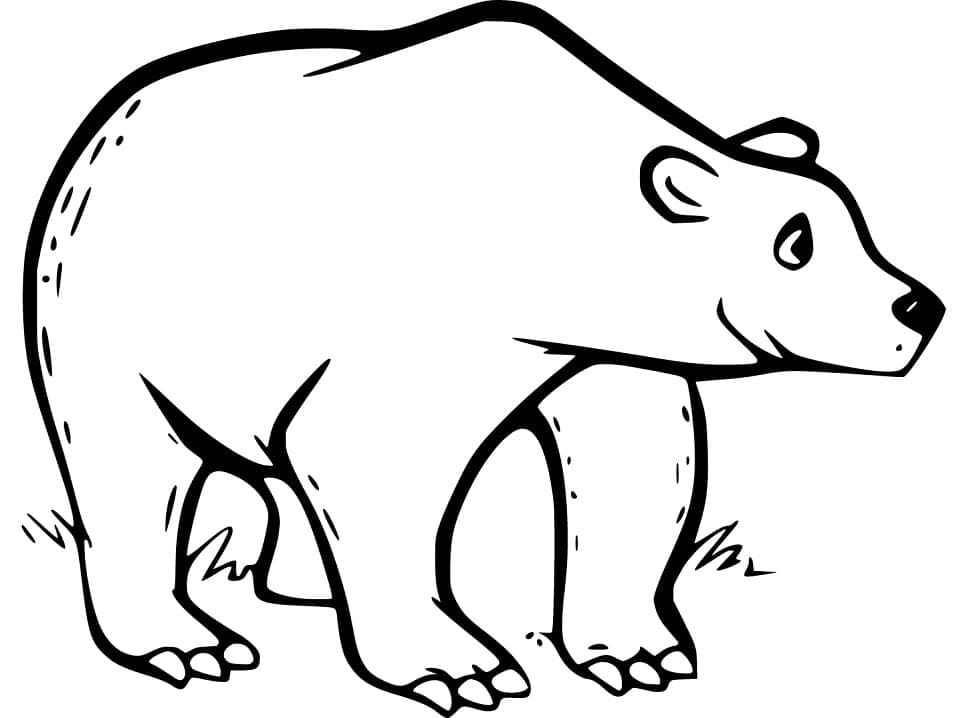 Desenho de Urso para Colorir com Tinta Guache Pdf e Pintar