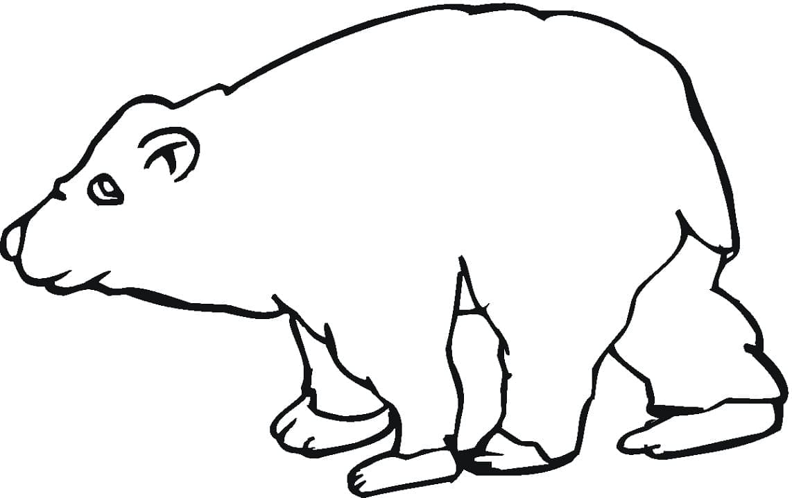 Desenho de Urso para Colorir Download Pdf e Pintar