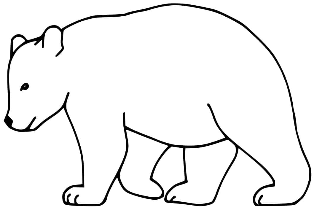 Desenho de Urso para Colorir e Imprimir e Pintar