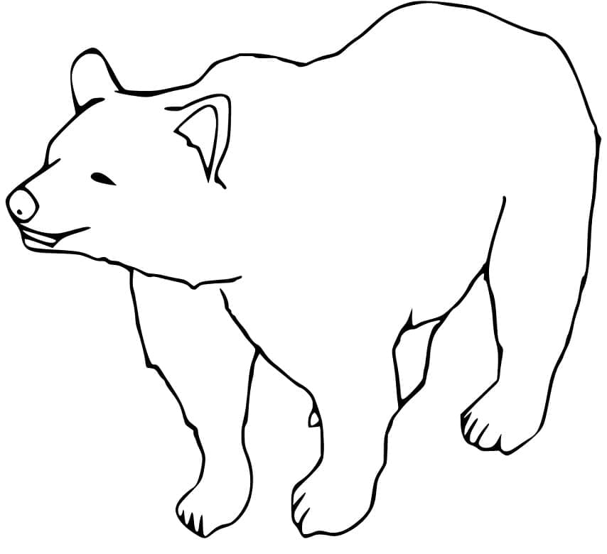 Desenho de Urso para Colorir e Pintar