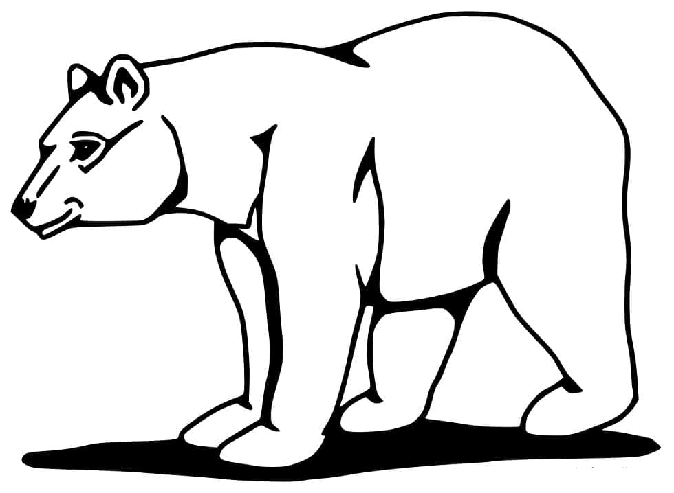 Desenho de Urso para Colorir em Casa e Pintar