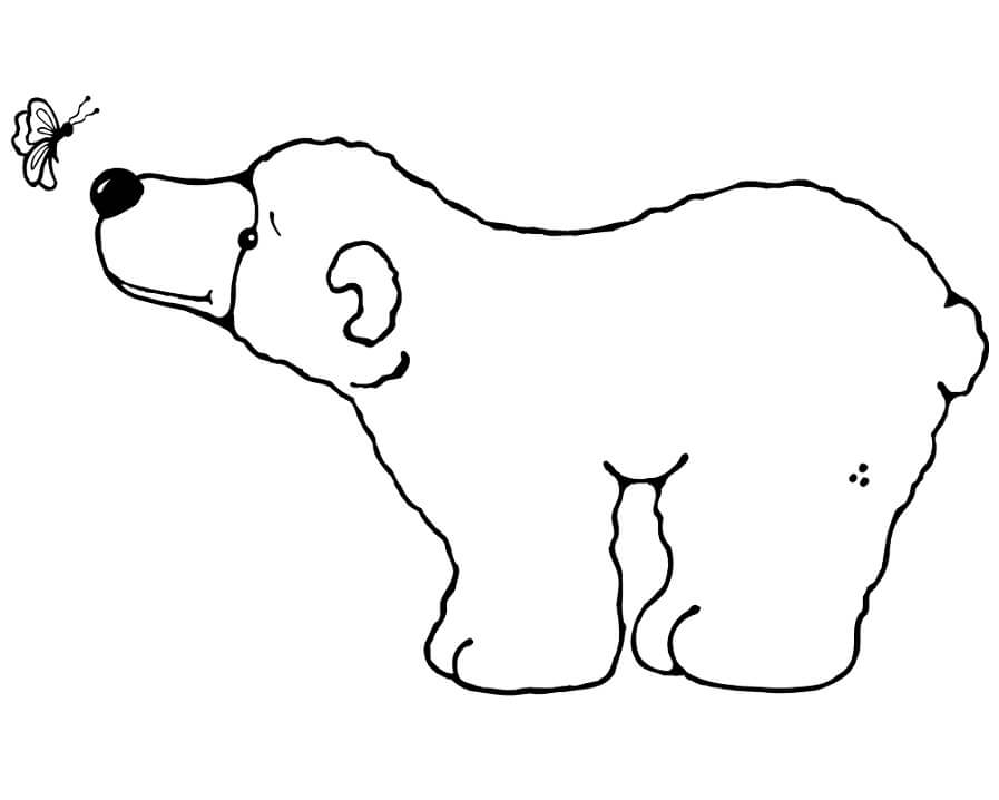 Desenho de Urso para Colorir Grátis Pdf e Pintar