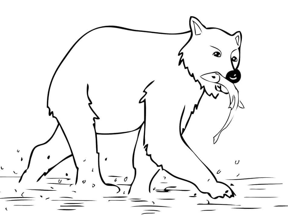 Desenho de Urso para Colorir Imprimivel Download e Pintar