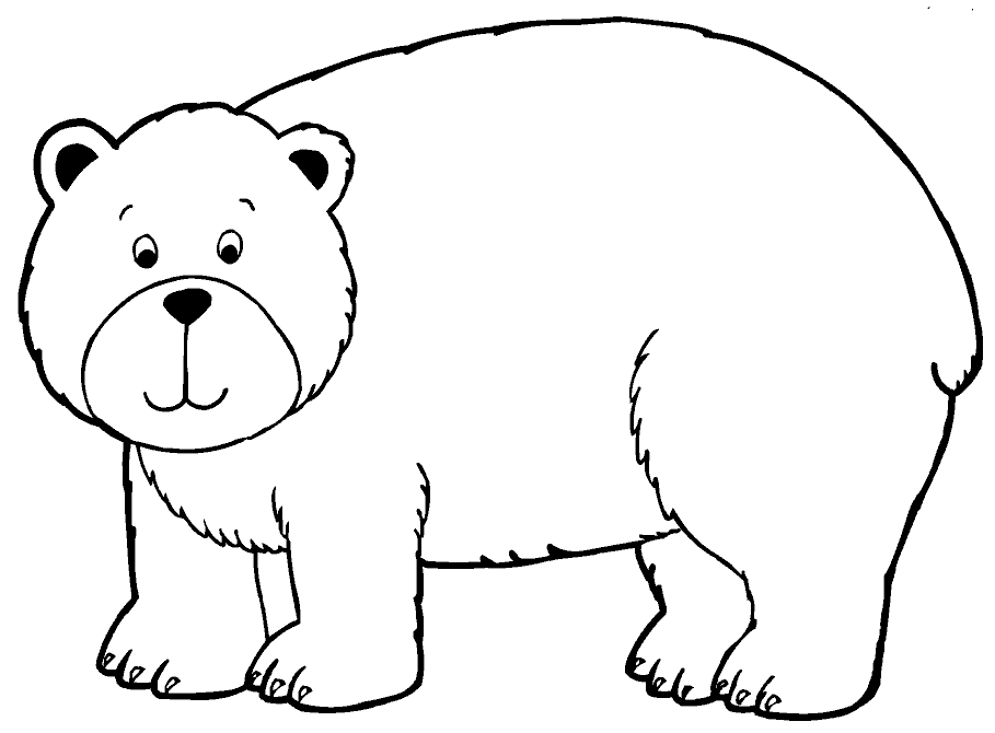 Desenho de Urso para Imprimir e Colorir e Pintar