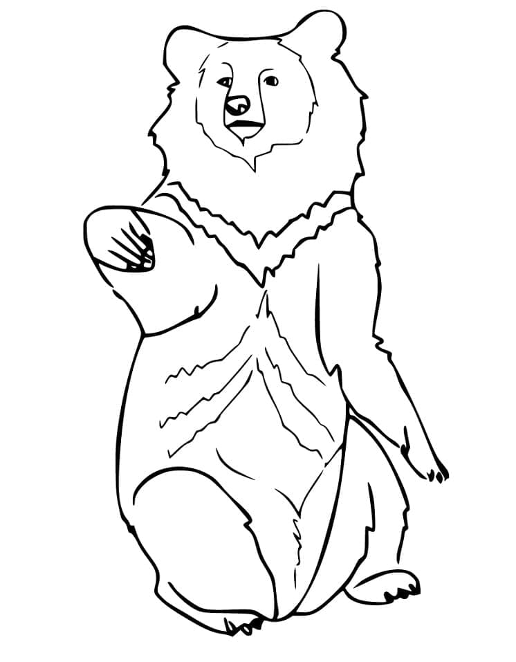 Desenho Grande Urso Negro para Colorir e Pintar