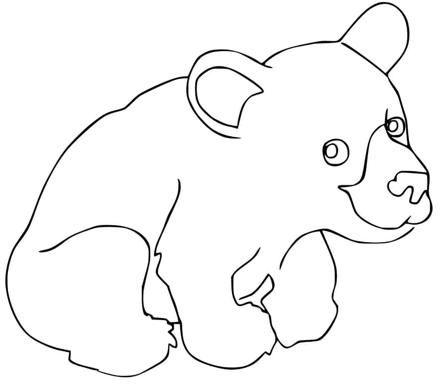 Desenho Lindo Urso Pardo para Colorir e Pintar