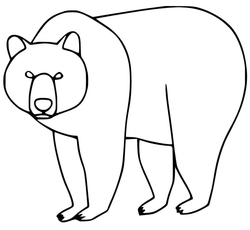 Desenho um Urso Pardo para Colorir e Pintar