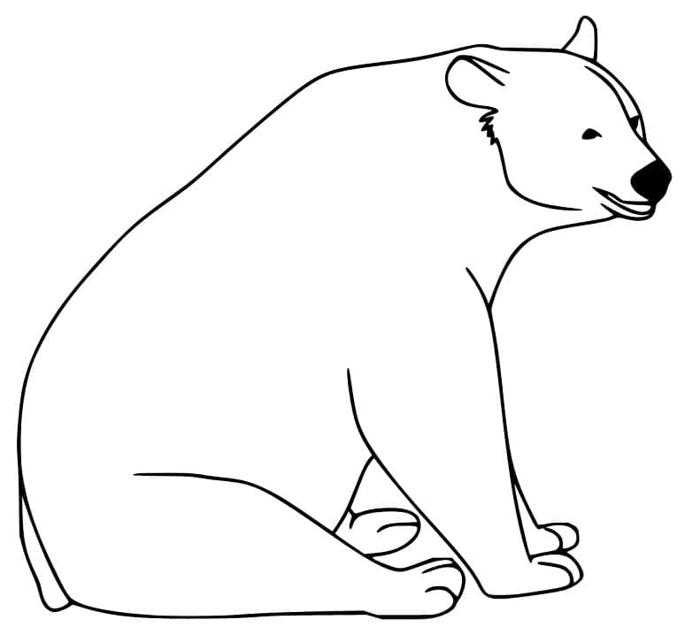 Desenho Urso Negro Fácil para Colorir e Pintar