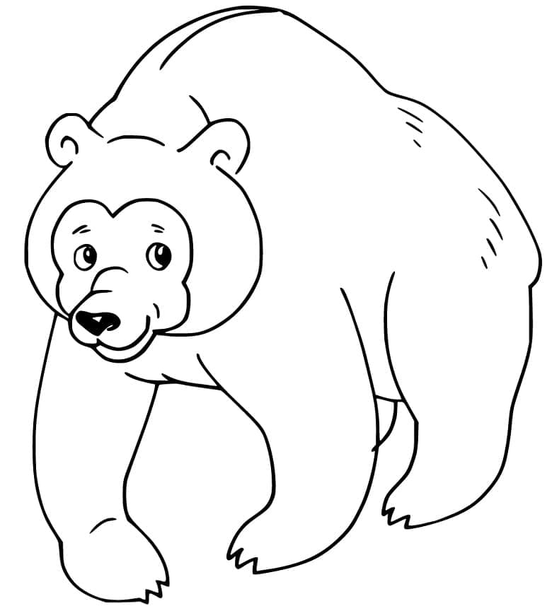 Desenho Urso Pardo de Desenho Animado para Colorir e Pintar