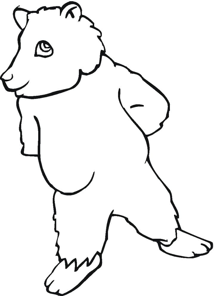 Desenho Urso Pardo em Pé para Colorir e Pintar