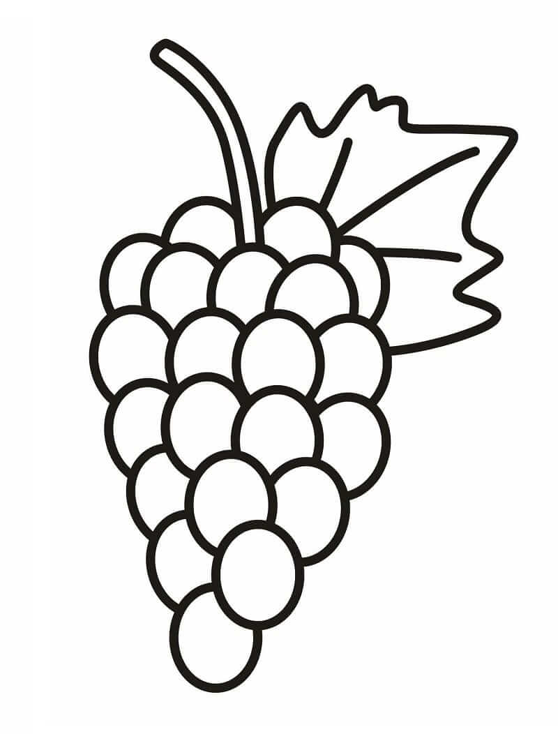 Desenho de Uva para Pintar Pdf Grátis