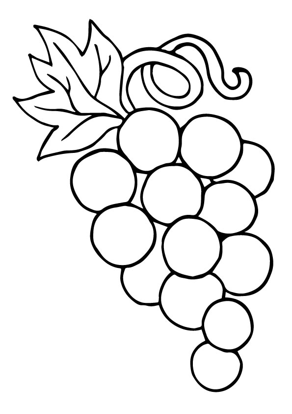 Desenho de Uva Pdf para Colorir e Pintar