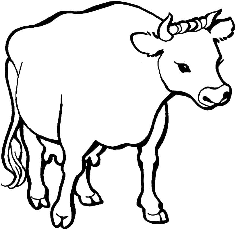 Desenho de Vaca para Colorir Imprimivel e Pintar