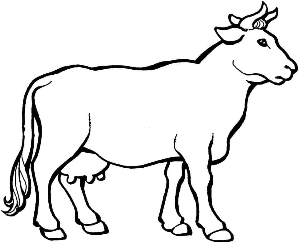 Desenho de Vaca Pdf para Imprimir e Colorir e Pintar
