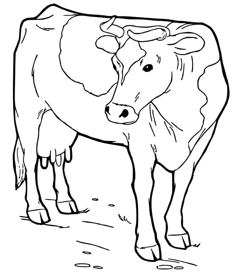 Desenho uma Vaca para Colorir e Pintar