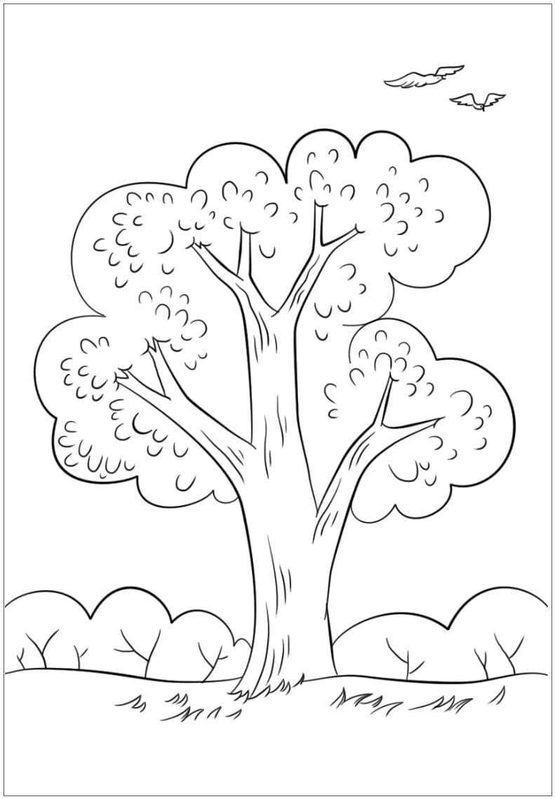 Desenho de Árvore de Verão para Colorir e Pintar