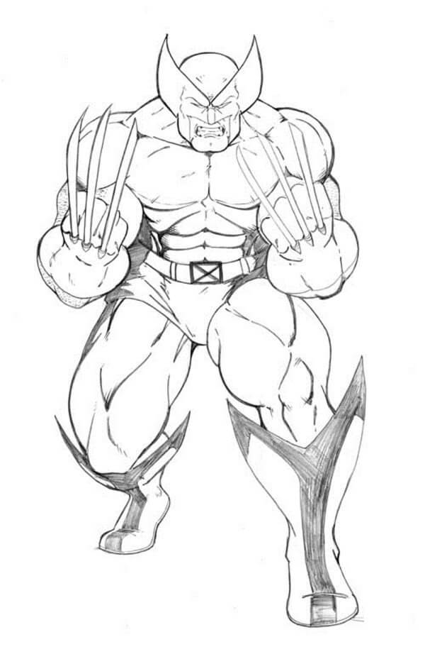 Desenho de Wolverine em Ação para Colorir Download e Pintar